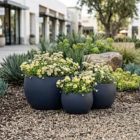 A staggered grouping of three matte deep navy blue spherical GFRC bowl planters, filled with flourishing white and yellow wildflowers, arranged as a focal landscape feature on gravel bedding in a modern commercial streetscape near a retail center.